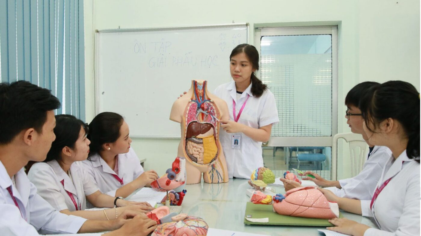 pahn hang dieu duong vien