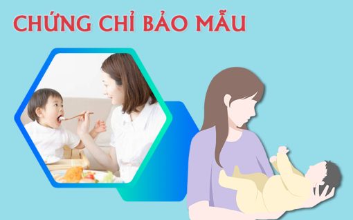 chung chi bao mau