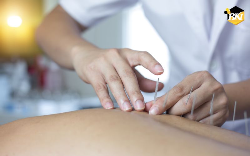 Trung cấp Y học cổ truyền là gì - Học trung cấp y học cổ truyền làm nghề gì 5 Ngành Trung cấp Y học cổ truyền là gì?