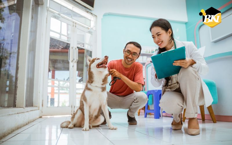 Tuyển sinh Trung cấp Thú y - Xét tuyển học bạ 7 Học Trung cấp Thú y ở đâu ?