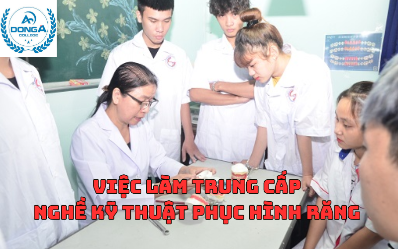 Việc Làm Trung Cấp Nghề Kỹ Thuật Phục Hình Răng sau khi ra trường?