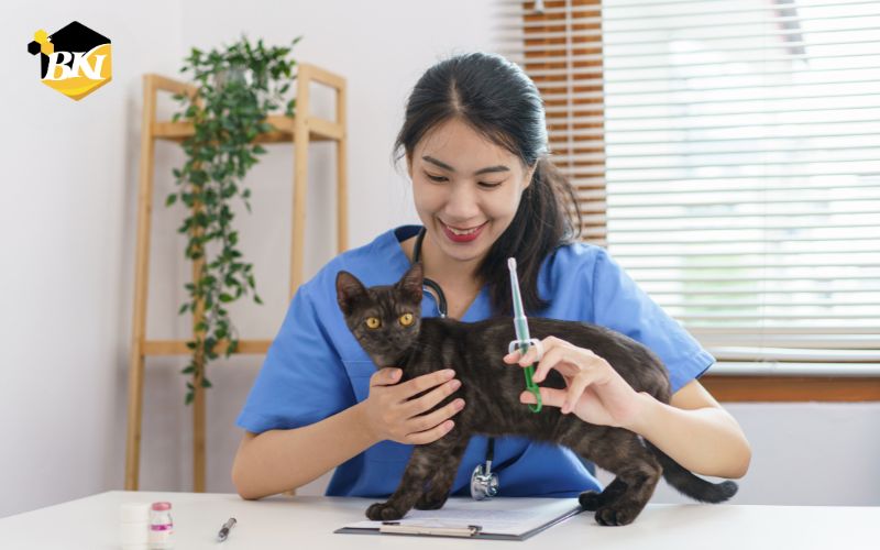 Tại sao nên chọn Trung Cấp Thú Y hệ 9+?