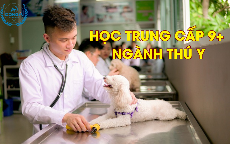 Giới Thiệu chương trình đào tạo 9+