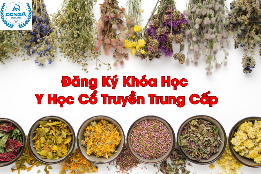 Đăng Ký Khóa Học Y Học Cổ Truyền Trung Cấp