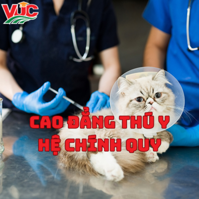 Khóa Học Cao Đẳng Thú Y Hệ Chính Quy