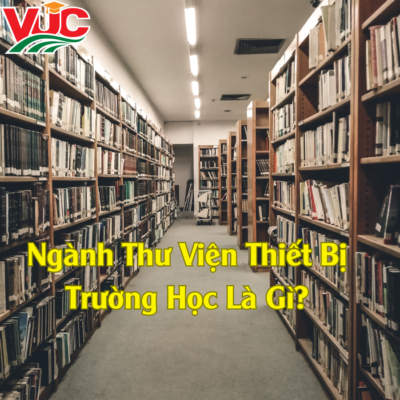 Ngành Thư Viện Thiết Bị Trường Học Là Gì? Ra Trường Làm Nghề Gì? 