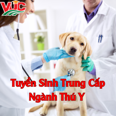 Tuyển Sinh Trung Cấp Ngành Thú Y - Xét Tuyển Trực Tuyến