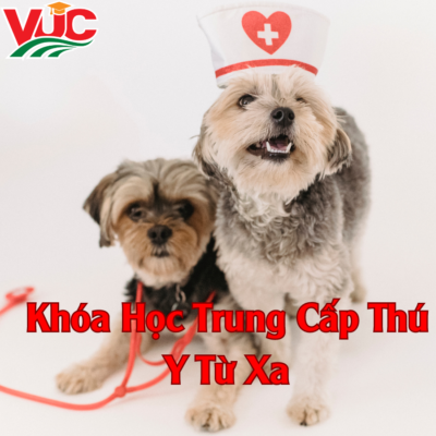 Khóa Học Trung Cấp Thú Y Từ Xa