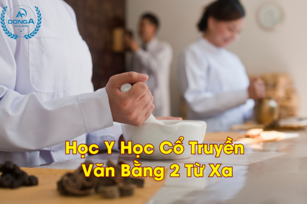 Học Y Học Cổ Truyền Văn Bằng 2 Từ Xa