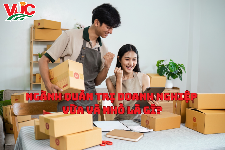 Ngành Quản Trị Doanh Nghiệp Vừa Và Nhỏ Là Gì? Tốt Nghiệp Ngành Quản Trị Doanh Nghiệp Vừa Và Nhỏ Ra Trường Làm Gì?