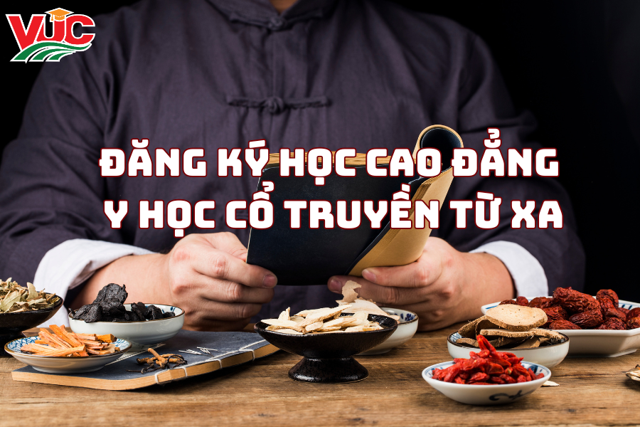 Đăng Ký Học Cao Đẳng Y Học Cổ Truyền Từ Xa