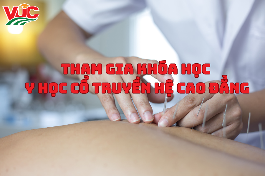 Tham Gia Khóa Học Y Học Cổ Truyền Hệ Cao Đẳng