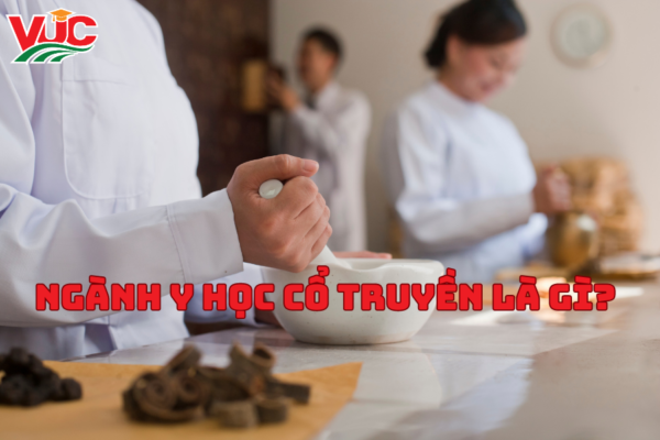 Ngành Y Học Cổ Truyền là gì? Tốt Nghiệp Ngành Y Học Cổ Truyền ra trường làm gì? 