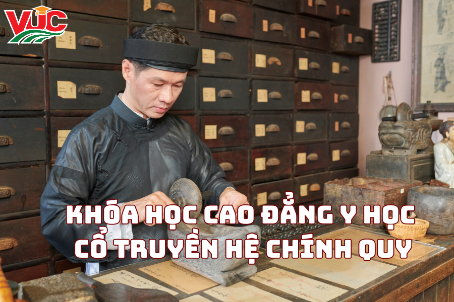 Khóa Học Cao Đẳng Y Học Cổ Truyền Hệ Chính Quy