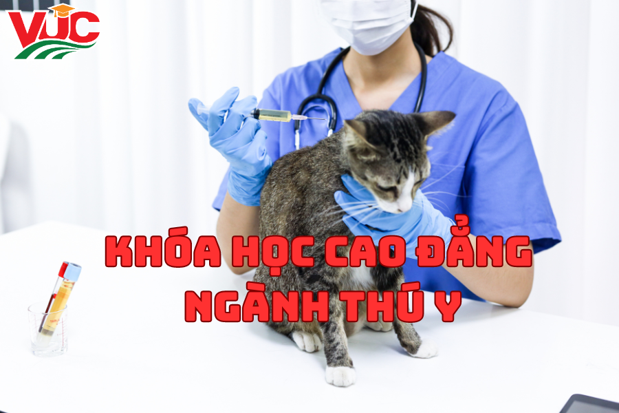 Khóa Học Cao Đẳng Ngành Thú Y