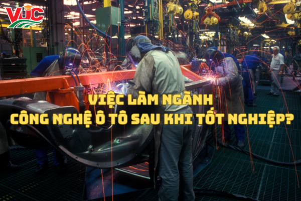 Việc Làm Ngành Công Nghệ Ô Tô Sau Khi Tốt Nghiệp?