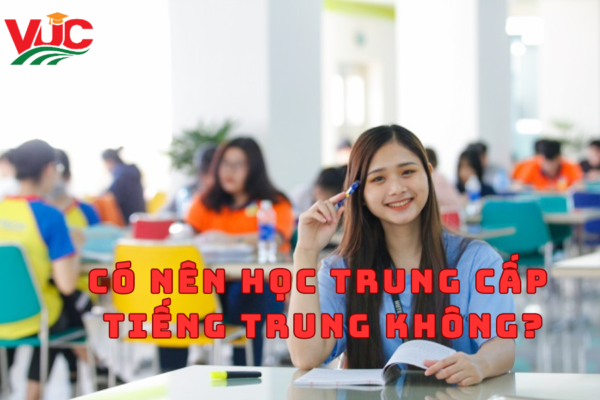 Có Nên Học Trung Cấp Tiếng Trung không?