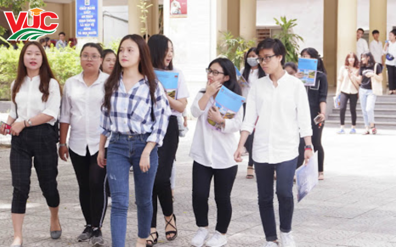 Giới Thiệu Chung Về Khóa Học Ngành Tiếng Anh