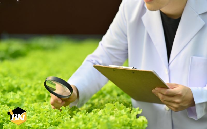 Tuyển Sinh Trung Cấp Bảo Vệ Thực Vật - Xét Tuyển Học Bạ 7 Cơ hội việc làm học trung cấp trồng trọt và bảo vệ thực vật