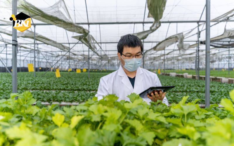 Tuyển Sinh Trung Cấp Bảo Vệ Thực Vật - Xét Tuyển Học Bạ 5 Học Trung Cấp Bảo Vệ Thực Vật Là Gì?