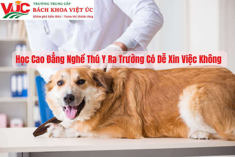 Học Cao Đẳng Nghề Thú Y ra trường có dễ xin việc không?