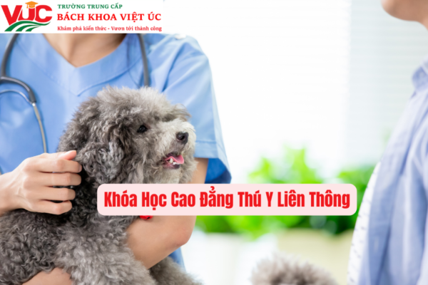 Khóa Học Cao Đẳng Thú Y Liên Thông