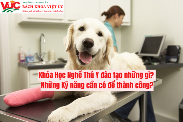 Khóa Học Nghề Thú Y đào tạo những gì? Những Kỹ năng cần có để thành công?