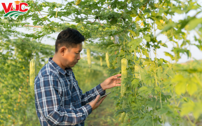 Học Trung cấp trồng trọt và bảo vệ thực vật thì có thể làm gì