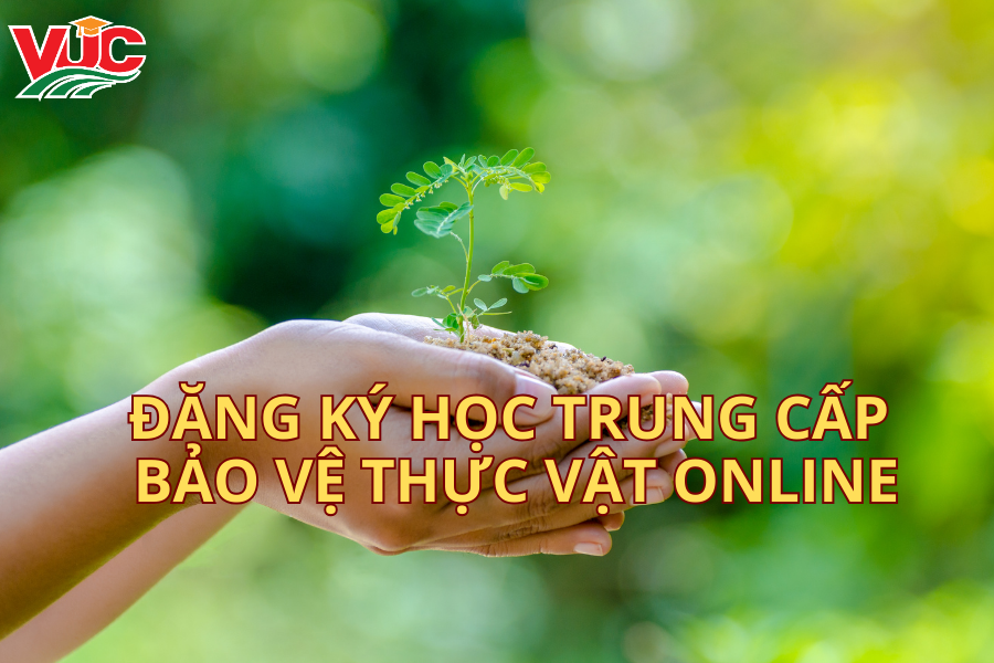 Đăng Ký Học Trung Cấp Bảo Vệ Thực Vật Online