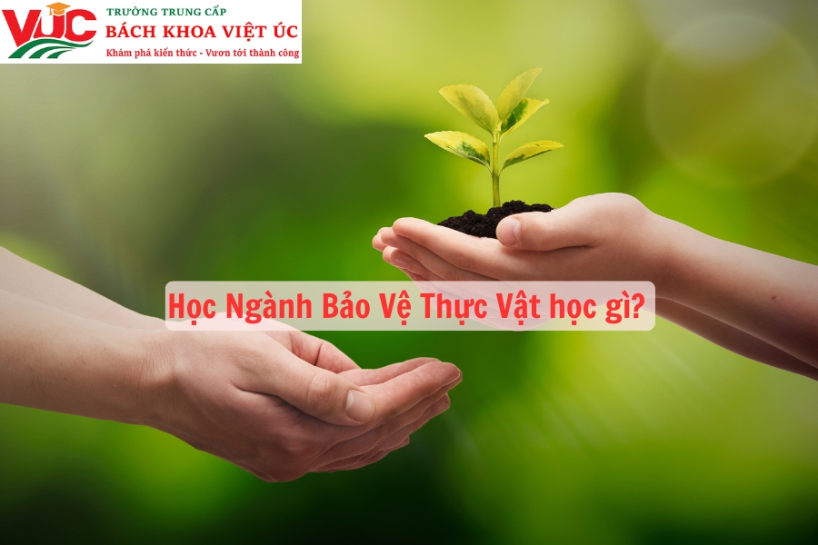 Học Ngành Bảo Vệ Thực Vật học gì? 