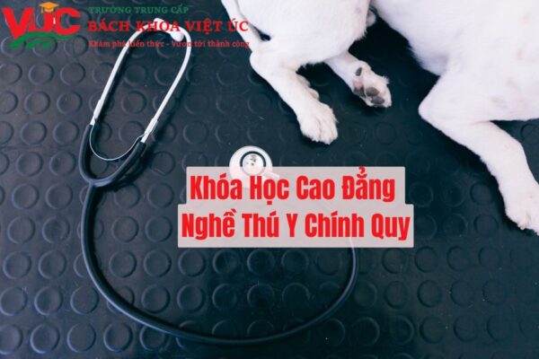 Khóa Học Cao Đẳng Nghề Thú Y Chính Quy