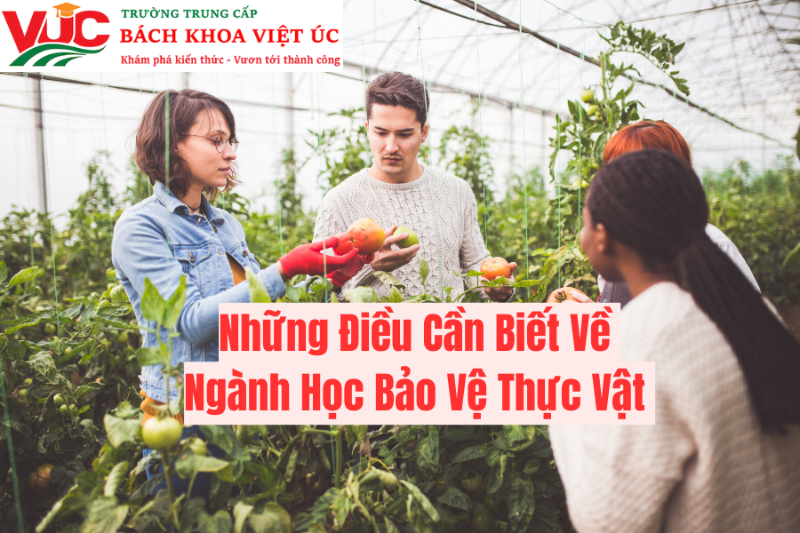 Những Điều Cần Biết Về Ngành Học Bảo Vệ Thực Vật