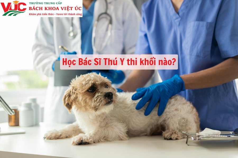 Học Bác Sĩ Thú Y thi khối nào?