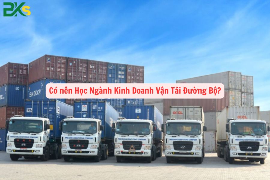 Có nên Học Ngành Kinh Doanh Vận Tải Đường Bộ?