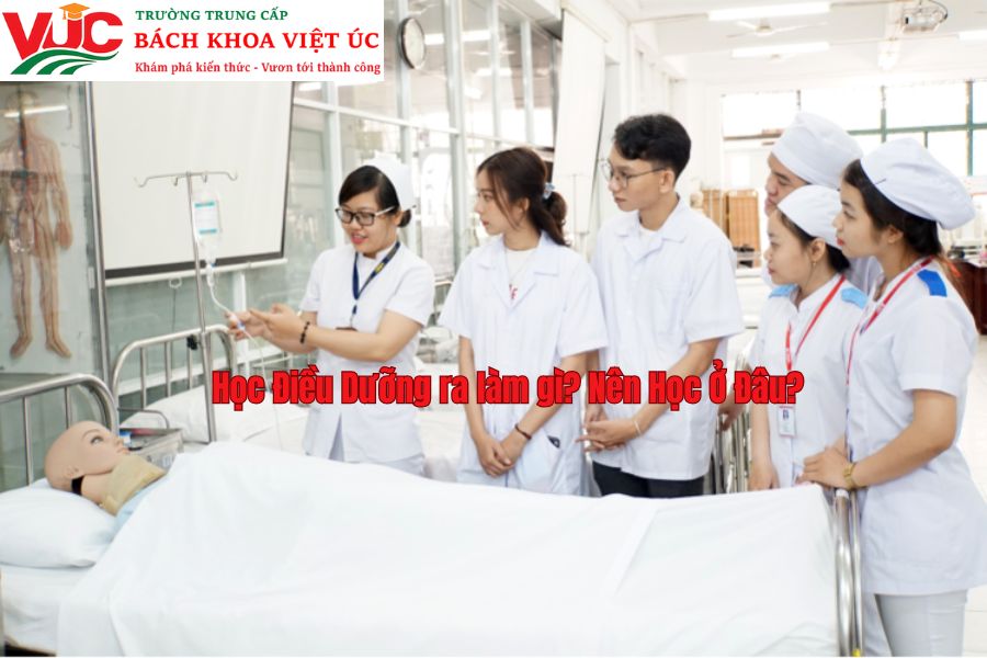 Học Điều Dưỡng ra làm gì? Nên Học Ở Đâu?