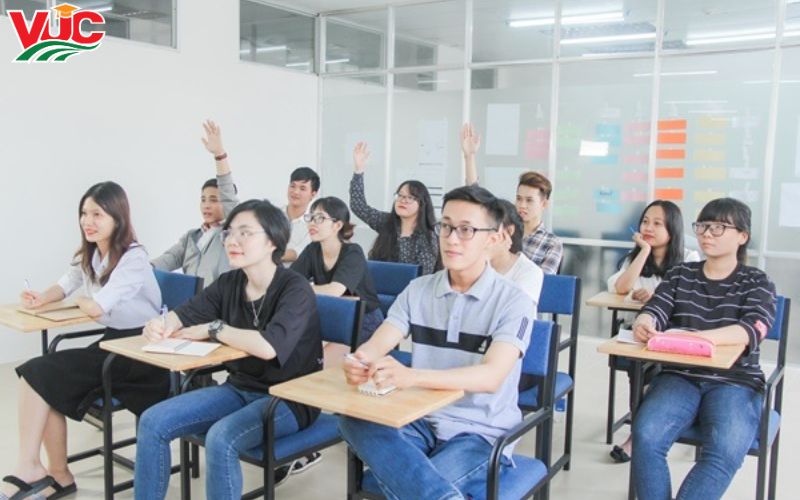 Học Trung Cấp Ngành Tiếng Đức Chính Quy là gì?
