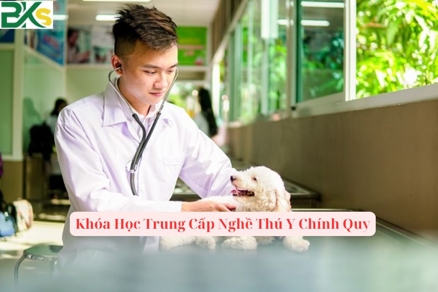 Khóa Học Trung Cấp Nghề Thú Y Chính Quy