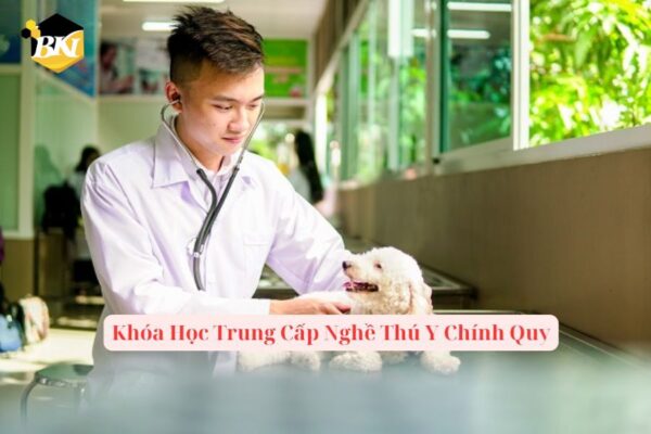 Khóa Học Trung Cấp Nghề Thú Y Chính Quy
