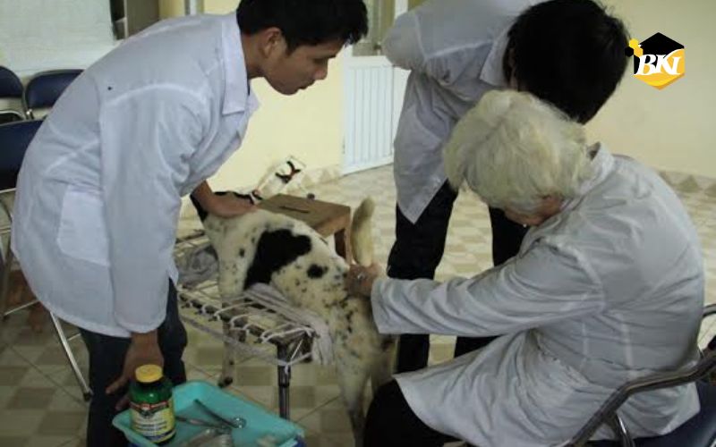 Thông tin xét tuyển Khóa Học Trung Cấp Nghề Thú Y Chính Quy