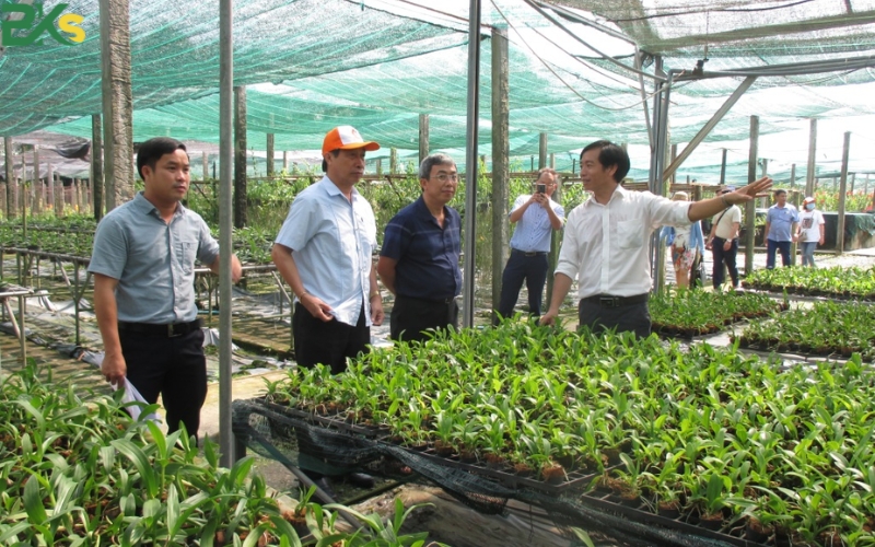 Khóa học trung cấp Trồng trọt bảo vệ thực vật uy tín, giá rẻ tại Gò Vấp? 7 Ai có thể đăng ký học trung cấp trồng trọt bảo vệ thực vật