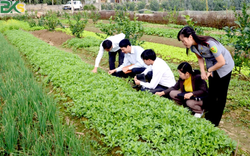 Khóa học trung cấp Trồng trọt bảo vệ thực vật uy tín, giá rẻ tại Gò Vấp? 6 Học trung cấp Trồng trọt bảo vệ thực vật ở đâu uy tín tại Gò Vấp?