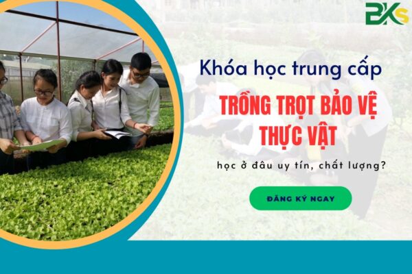 Khóa học trung cấp Trồng trọt bảo vệ thực vật uy tín, giá rẻ tại Gò Vấp?