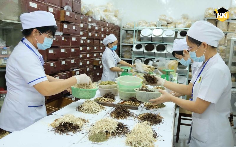 Khóa học Trung cấp Y học cổ truyền uy tín, giá rẻ tại TP.HCM? 5 Vì sao trung cấp Y học cổ truyền ngày càng được nhiều người đăng ký học?