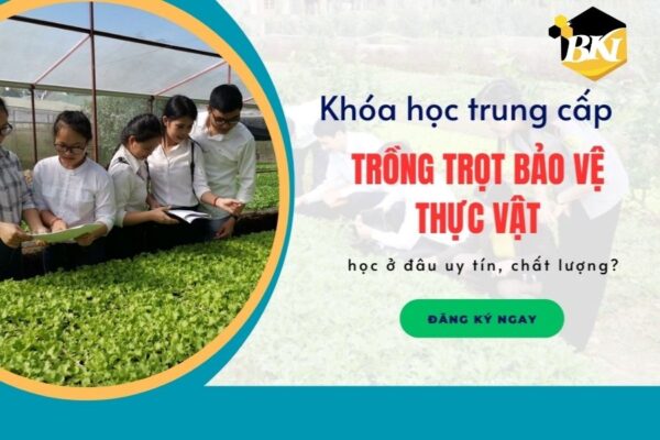 Khóa học trung cấp Trồng trọt bảo vệ thực vật