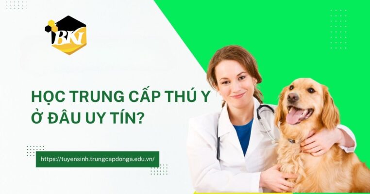 Học Trung cấp Thú Y ở đâu uy tín