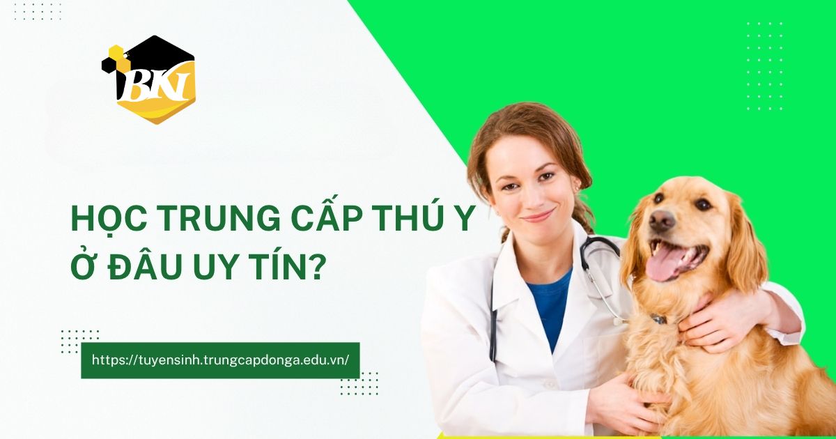 Học Trung cấp Thú Y ở đâu uy tín