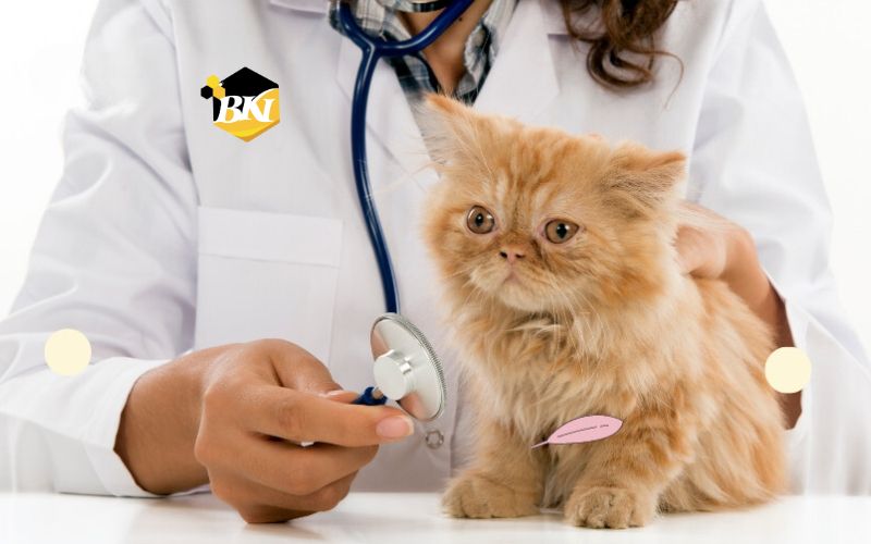 Nên học Trung cấp thú y ở đâu? 5 Lưu ý khi chọn trường học Trung cấp thú y