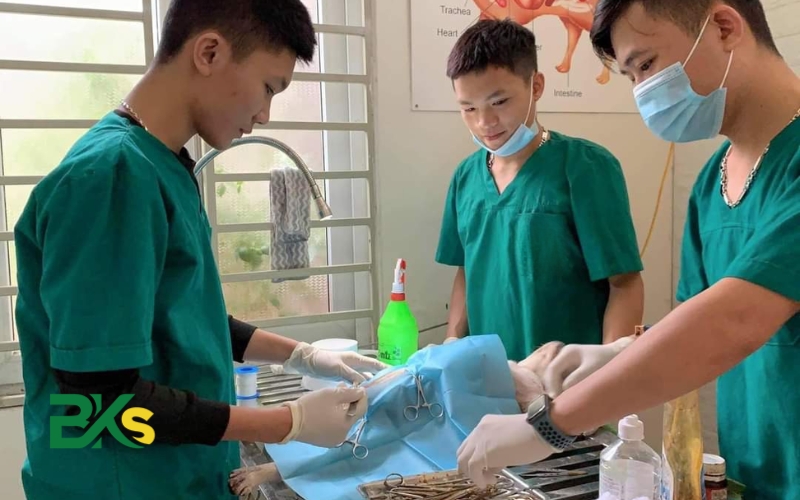 Lý do nên học Cao đẳng thú y