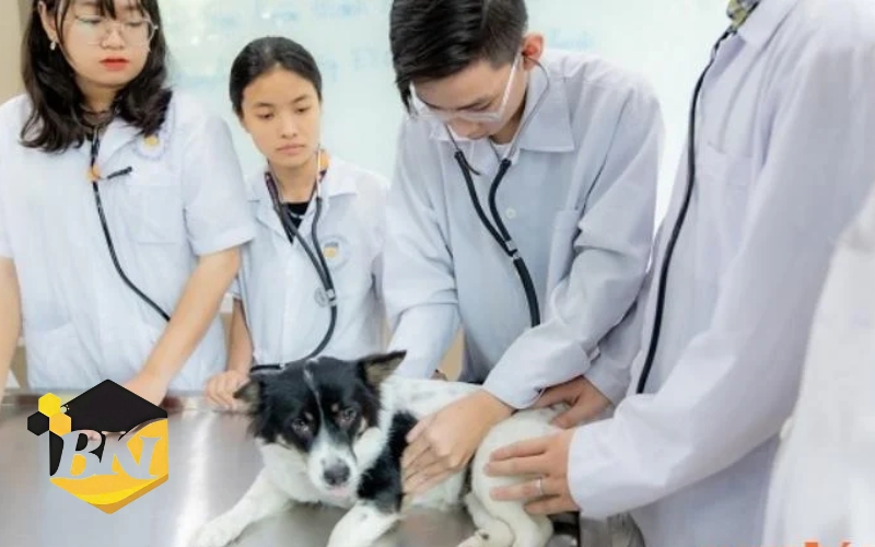 Chương trình Trung cấp thú y từ xa phù hợp với ai? 6 ai phù hợp với trung cấp thú y từ xa
