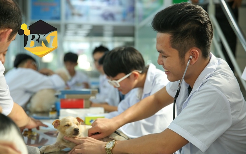 Chương trình Trung cấp thú y từ xa phù hợp với ai? 7 Thông tin tuyển sinh Trung cấp thú y từ xa